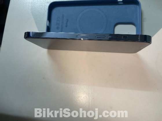 iphone 13 pro max (256 GB)